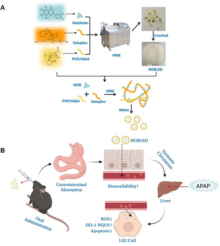 171627779499229.jpg 640.jpg