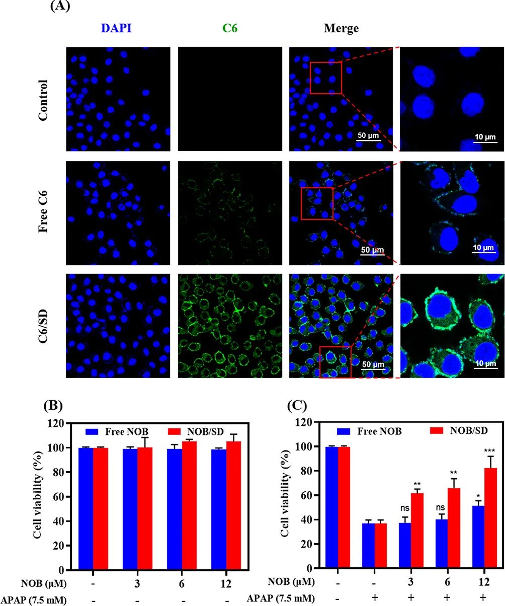 171627783258542.jpg 640.jpg