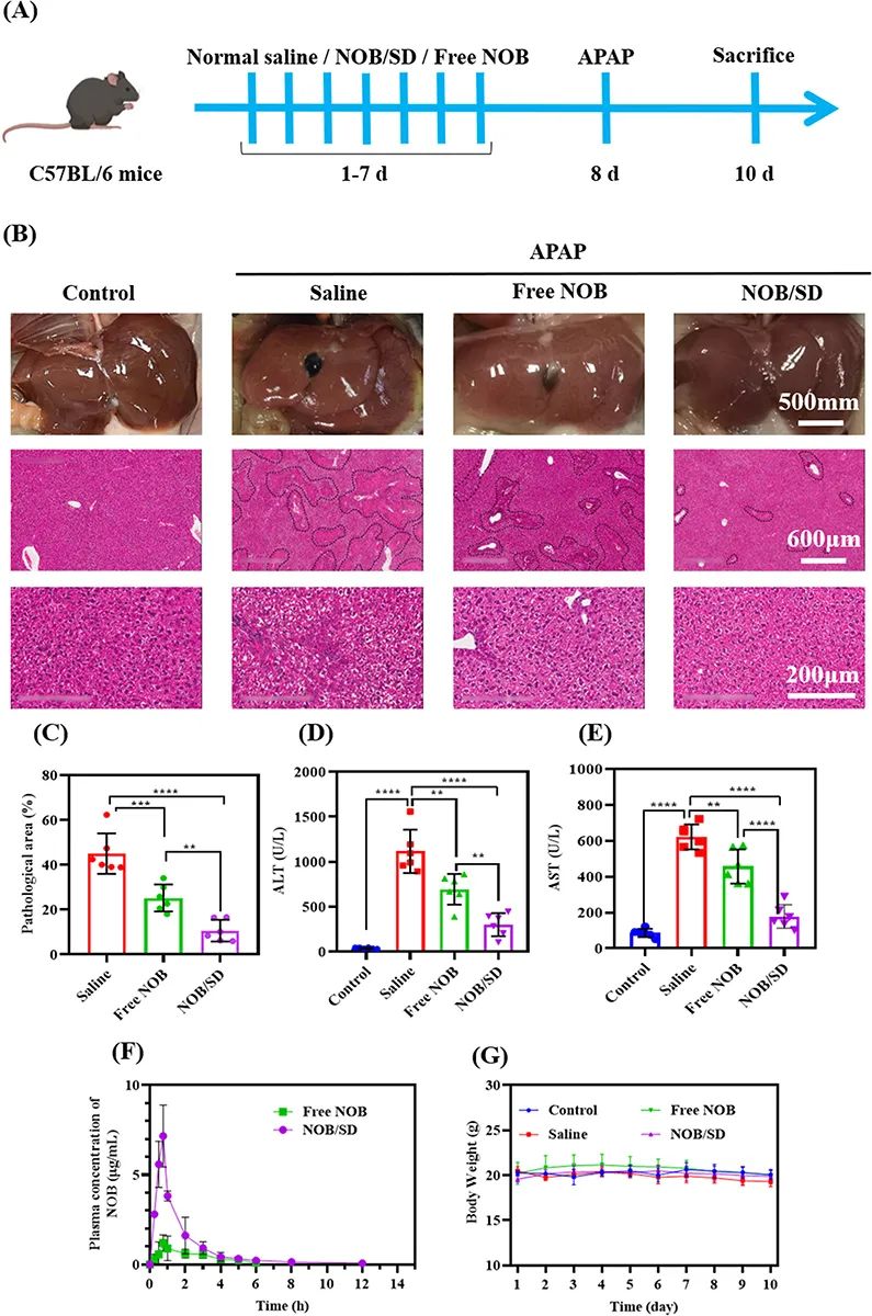 171627784585069.jpg 640.jpg