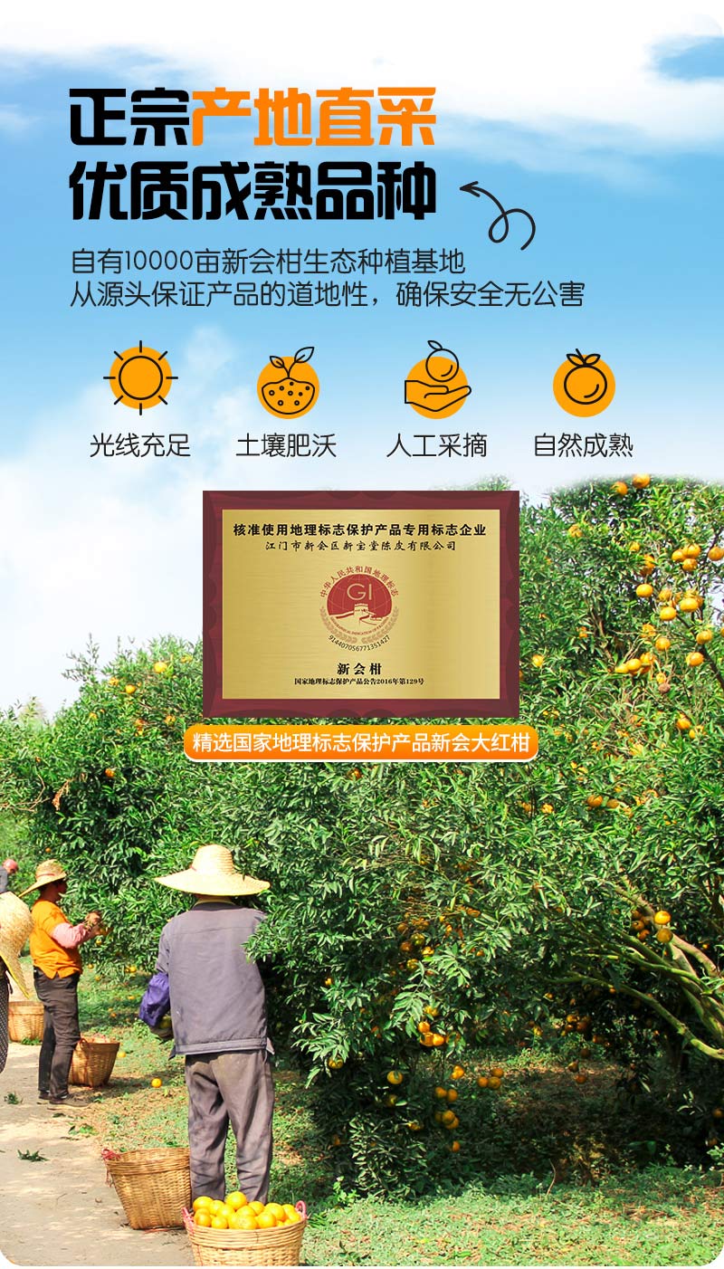 NFC果汁详情图_06.jpg