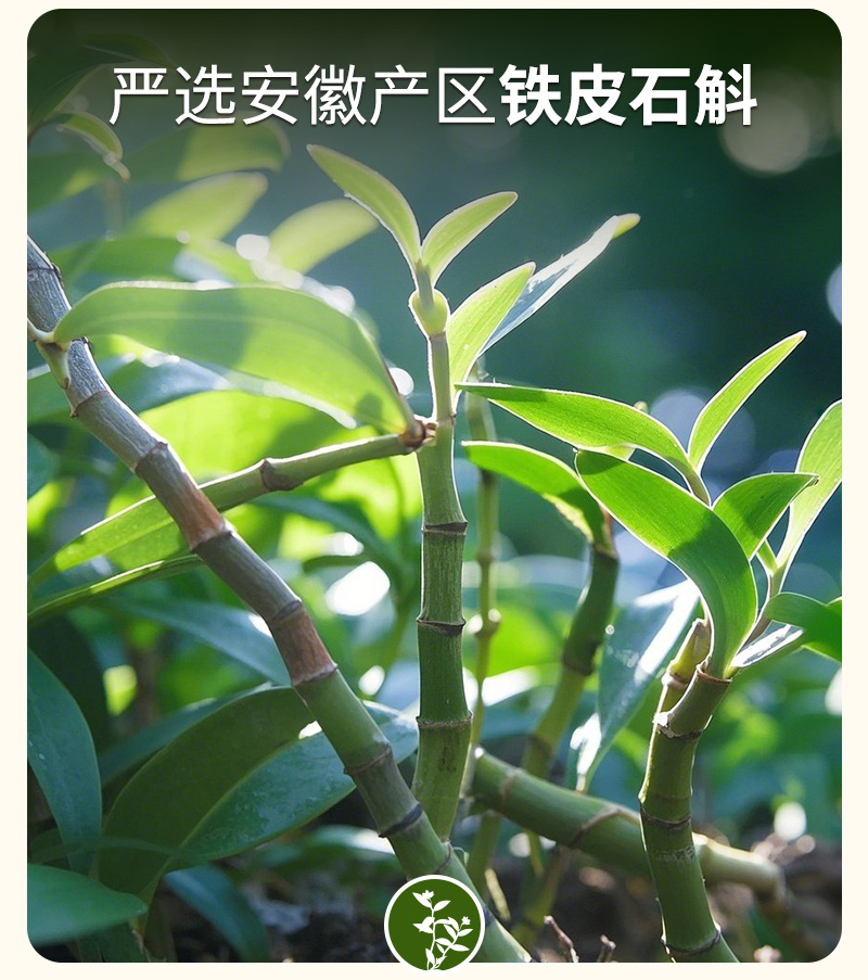 20250408-陈皮参斛水详情设计_09.jpg