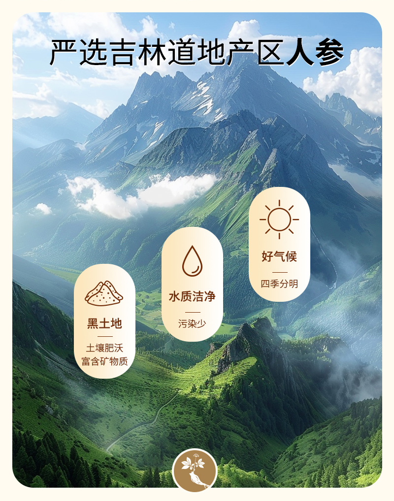 20250408-陈皮参芪水详情设计_08.jpg