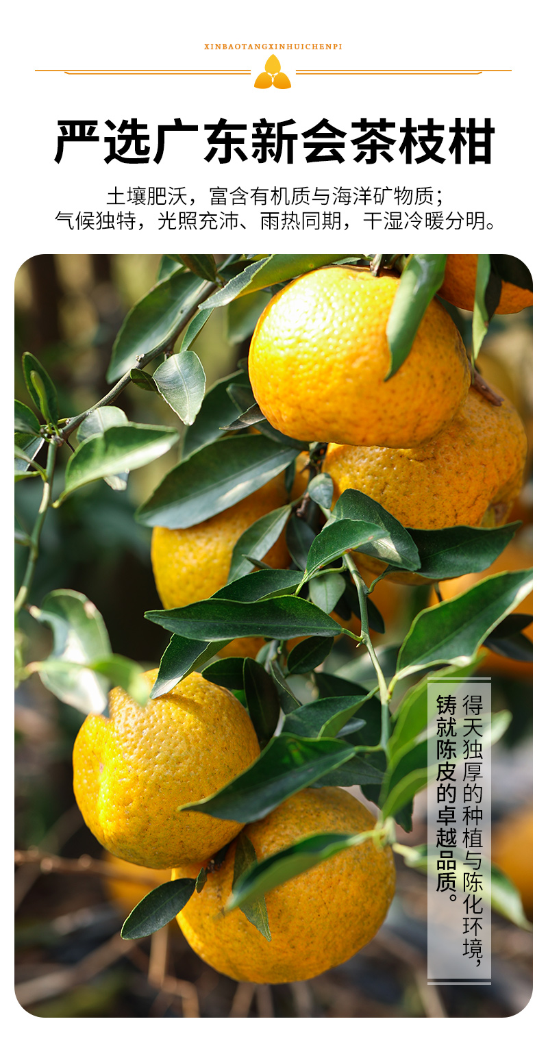 新标签陈皮水更新版详情part1_05.jpg