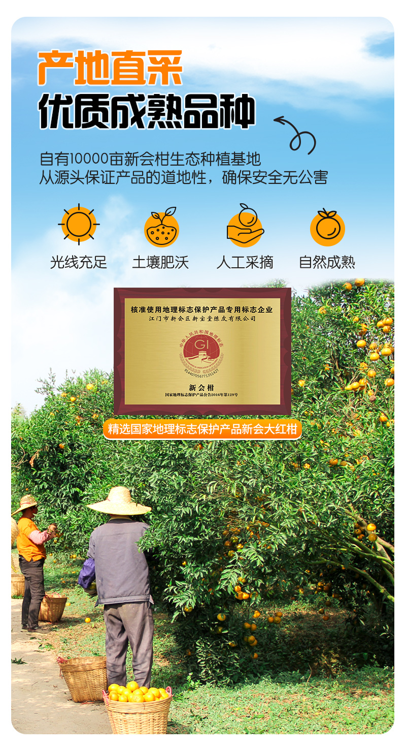 20260604-NFC新会柑果汁详情图【OK】-8道工艺_05.jpg